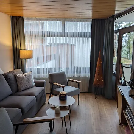 Apartment Schwarzwaldlust Schluchsee